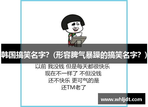 韩国搞笑名字？(形容脾气暴躁的搞笑名字？)