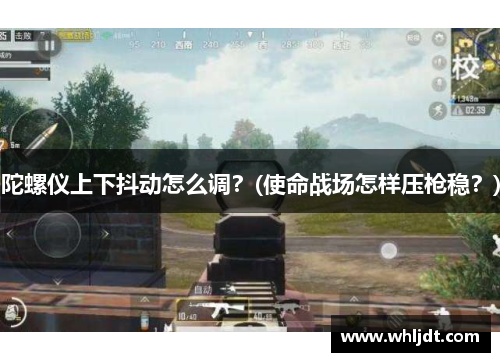 陀螺仪上下抖动怎么调？(使命战场怎样压枪稳？)